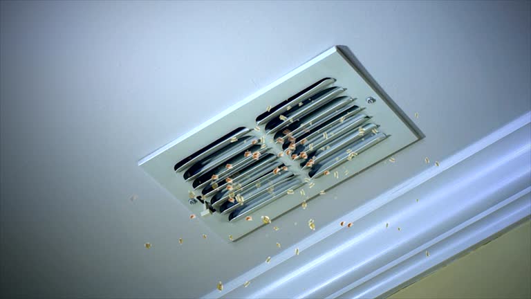 Best Emergency Air Duct Cleaning  in Morgandale, OH