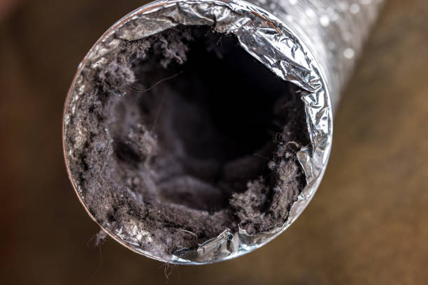 Best HVAC Duct Inspection Services  in Morgandale, OH