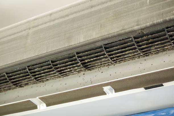 Best Best Air Duct Cleaning Company  in Morgandale, OH